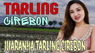 Download Lagu TERBARU‼️TARLING CIREBONAN || JUARANYA TARLING CIREBON MP3 Download Lagu TERBARU‼️TARLING CIREBONAN || JUARANYA TARLING CIREBON MP3