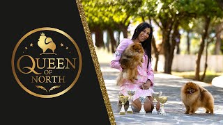 Dog Show Day with Queen of North  Pomeranian Kennel