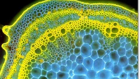 E-MU Command Station Xl7