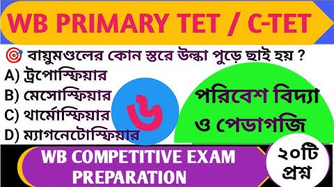 EVS Primary TET Class 6🎯 || Wb Primary TET Preparation 2023 || CTET