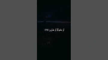 سورة الشعراء📿أسلام صبحي❤️أرح قلبك 🫀وأكتب شيئ تؤجر عليه