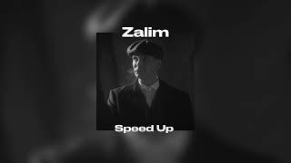 Sezen Aksu - Zalim (Speed Up) Resimi