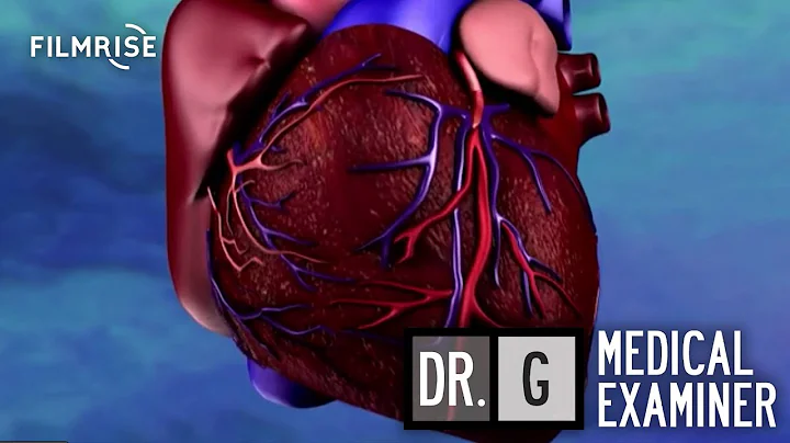 Dr. G: Medical Examiner - Season 5, Episode 11 - H...