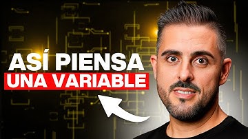 ¿Qué puede guardar un programa o una variable en programación?