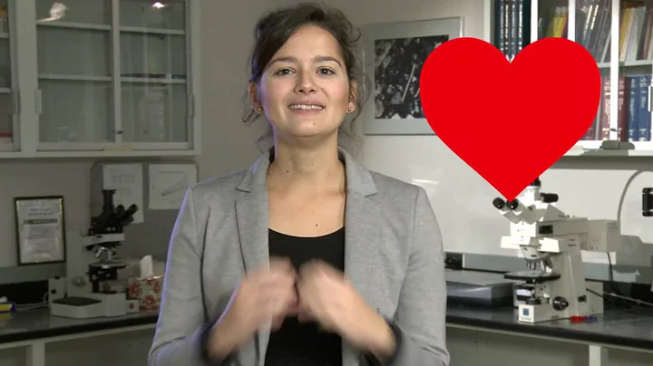 Elise Berodier - My Thesis in 180 Seconds
