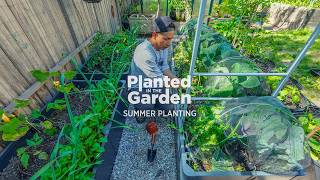 Summer is here. Time to transition the garden.