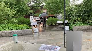 Move-in Day 2020