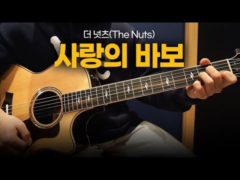 더 넛츠 사랑의 바보