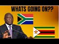 1,174 Zimbabweans Arrested In South Africa For Crossing The Border Illegally🇿🇦🇿🇼
