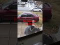 winter fails fun