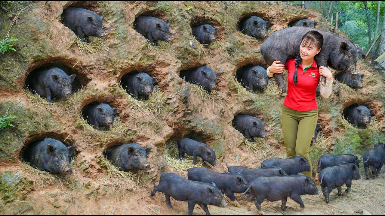 TIMELAPSE --233 Days Buying Many Piglets From Farmers And Selling Them At The Local Market