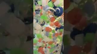 Tkn Filter Filter Nozzles - Mbbr Biomedia Tkn Biomedia Biofix Filter Nozzles Bioball