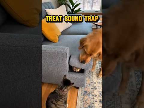 Treat Sound Trap