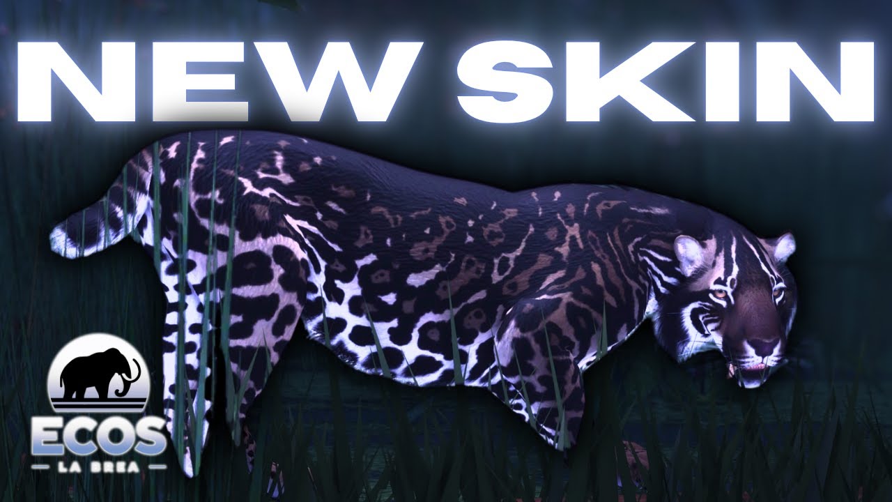 PSEUDO-MELANISM IN ECOS?? | Ecos La Brea