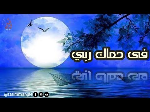 فى حماك ربى | ماهر زين | رضيت بالله ربا| heart touching nasheed status