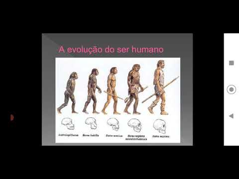 O ser humano no reino dos animais