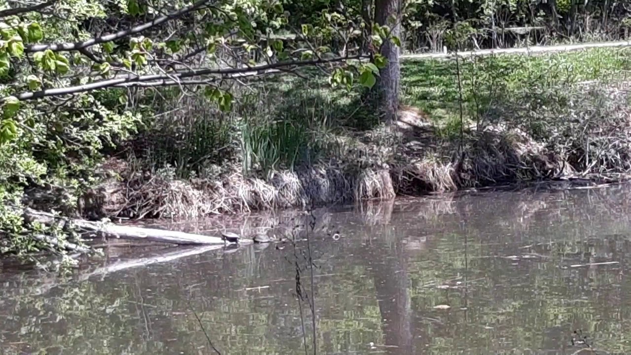 Tour of Kathryn Albertson Park YouTube