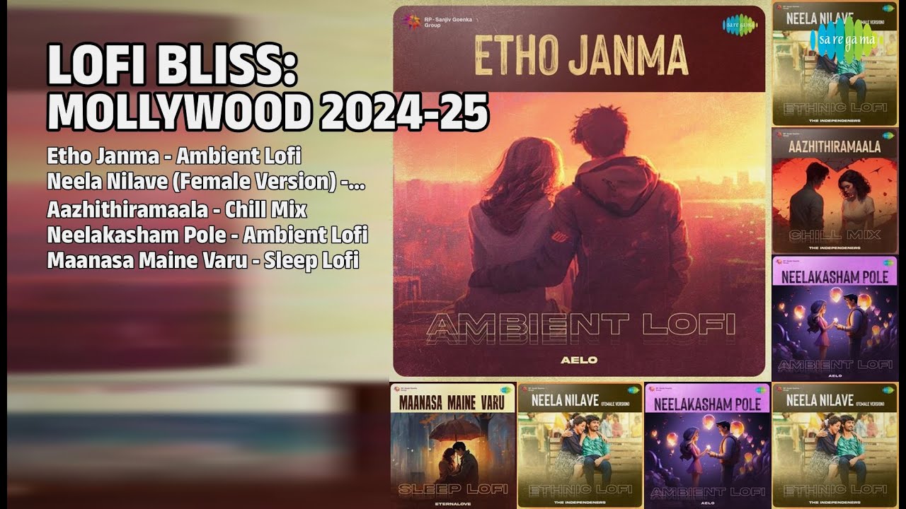 2024-25 Lofi ഹിറ്റുകൾ | Aelo Songs | Etho Janma  Ambient Lofi