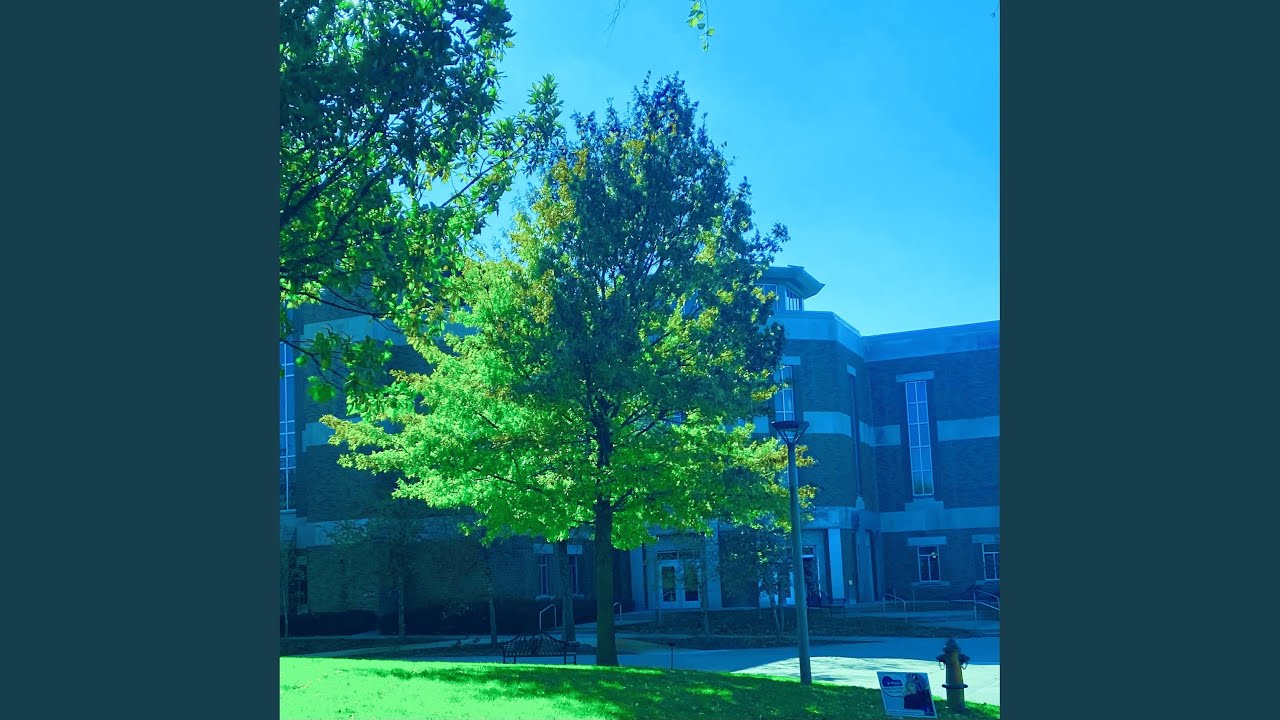 Guarda Five Nights su YouTube Guarda Five Nights su YouTube