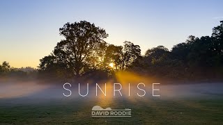 Sunrise (Official Music Video) 2023
