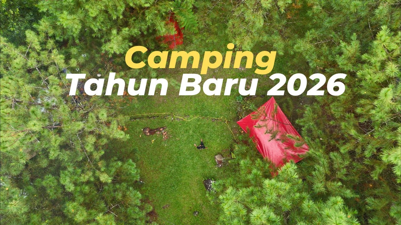 Camping Dekat Sungai di Hutan Pinus Pakai Mobil Ford Everest 