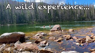 Epic backpacking trip to Trampas lakes + subzero cold plunge