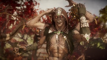 Mortal Kombat 11 - 30/30 AI Character Setup Fails - Sub-Zero (4K 60fps)