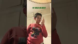 Yo Tengo Un Mococanción