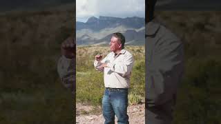 Bisonte Americano en La Reserva Natural El Carmen