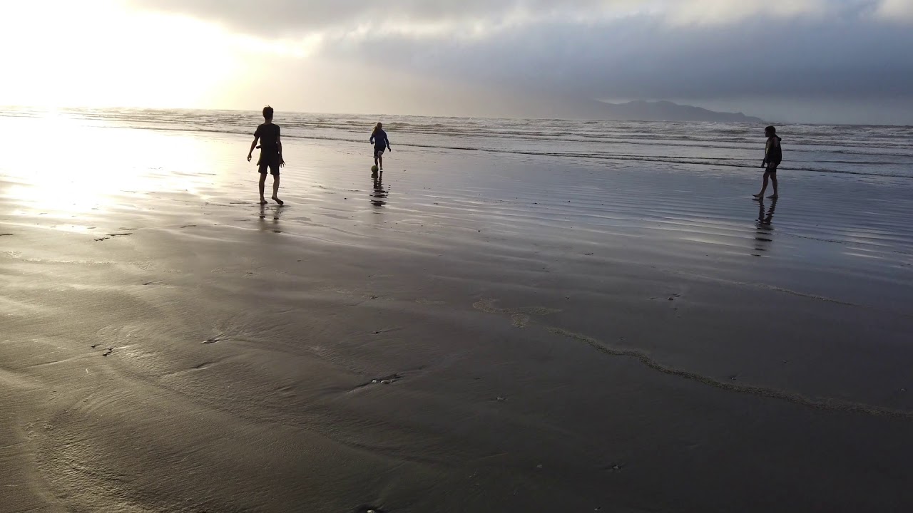 6 Oratia Street, Waikanae Tall Poppy Real Estate YouTube