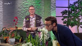 Orchideenpflege: Tipps vom Profi - YouTube