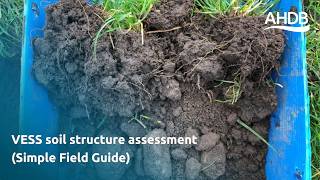 VESS soil structure assessment (Simple Field Guide)