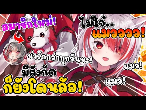 โคฮาคุ มีสังกัดแล้ว ยังโดนคนดูใหม่ ล้อว่า เป็น แมว !! [ Vtuber ซับไทย ]