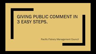 Giving Public Comment at a Council Meeting