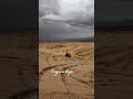 Desert 🏜️ Go kart racing 💥#gokarting#shorts#profesional#ofroad#superkart#viral