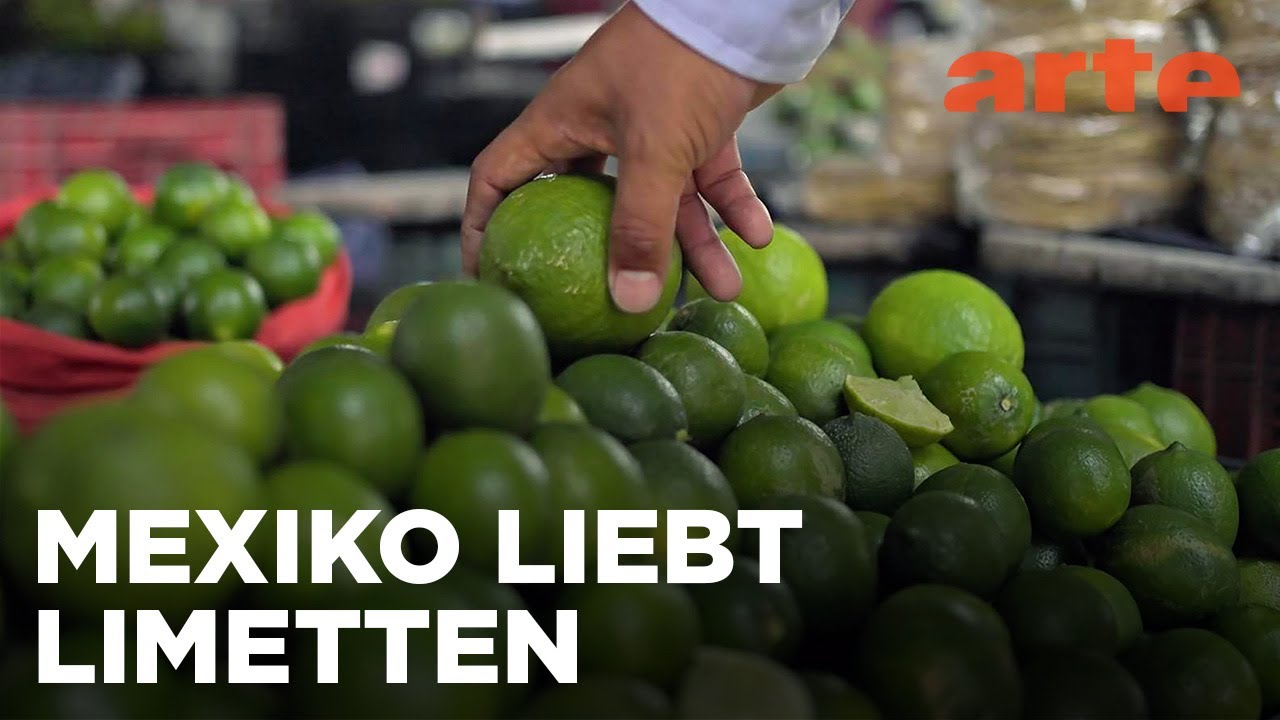 Spritzig: Mexikos Limetten | Die Welt der Zitrusfrüchte | ARTE Fernweh