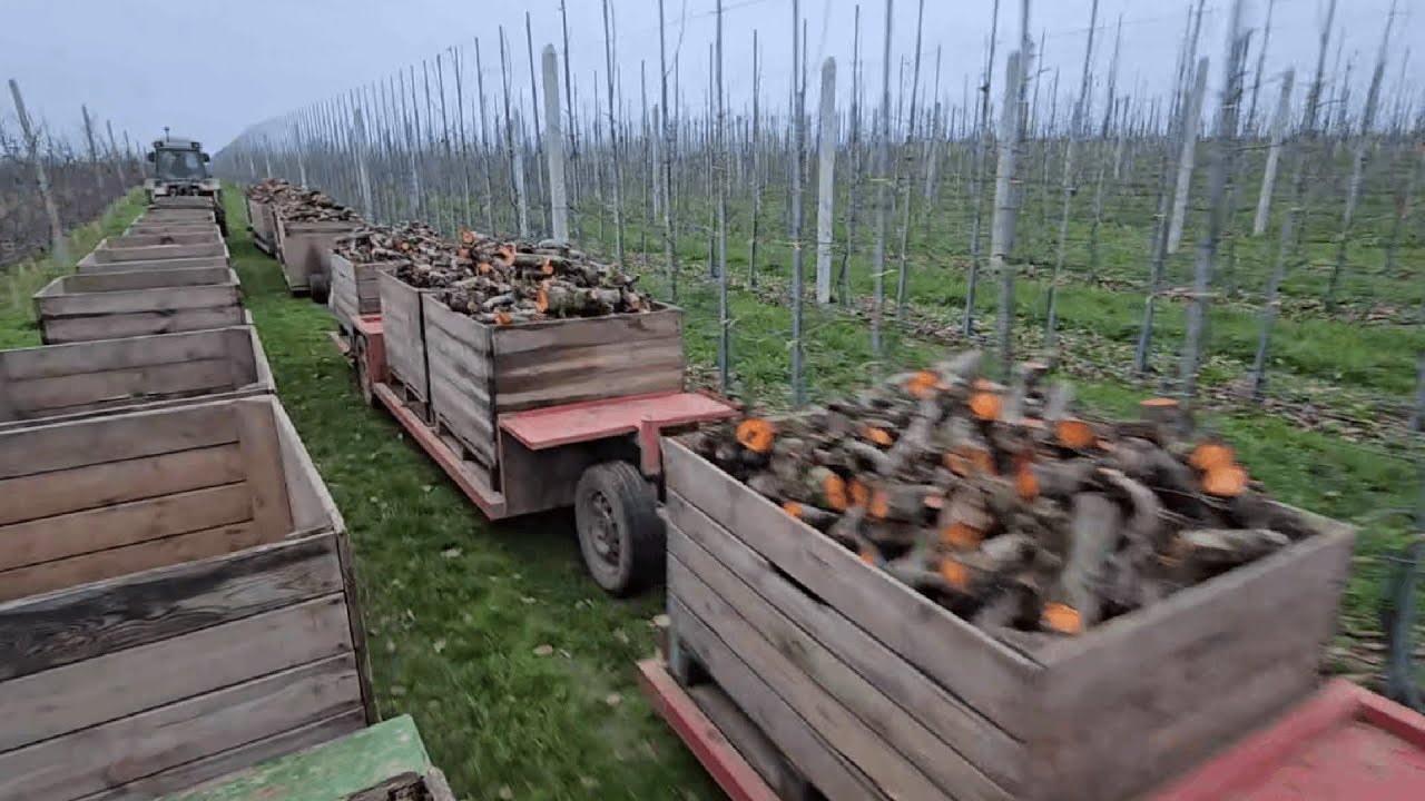 Targi Fruit Poland - Karczujemy sad - Kończymy sezon jabłkowy