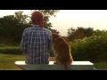 柴犬ジロー　デブジローは走れ～　Shiba inu