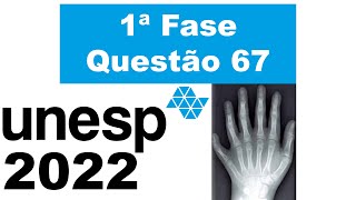 Unesp 2022 A Figura Apresenta A Radiografia Da Mão De Uma Menina Portadora De Polidactilia