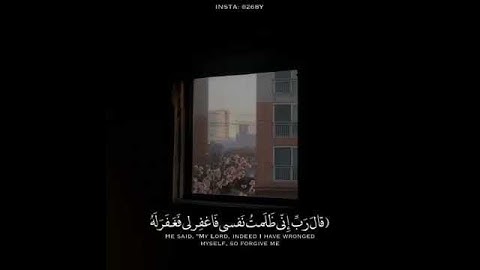 سورة القصص القارئ رعد محمد الكردي🍂