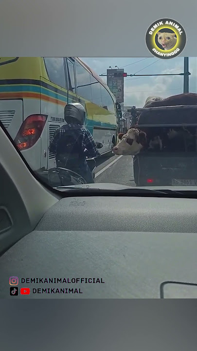 IT'S NOT FUNNY ANYMORE #shorts