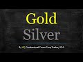 4 Ways to Hold Gold and Silver