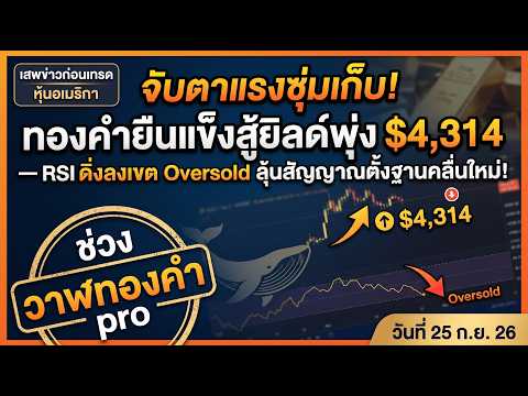 วาฬทองคำpro : ทองคำยืนแข็งสู้ยิลด์พุ่ง $4,314 — RSI ดิ่งลงเขต Oversold 25sep2026