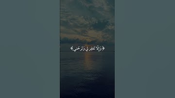 الشيخ/ماهر المعيقلي حفظه الله .... سورة هود .... الآيه ( ٤٧ )