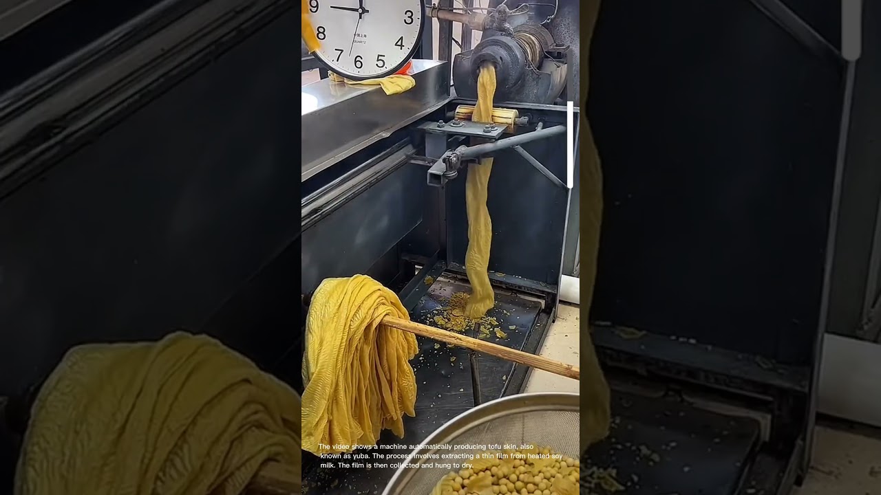 Automated Production of Tofu Skin (Yuba)