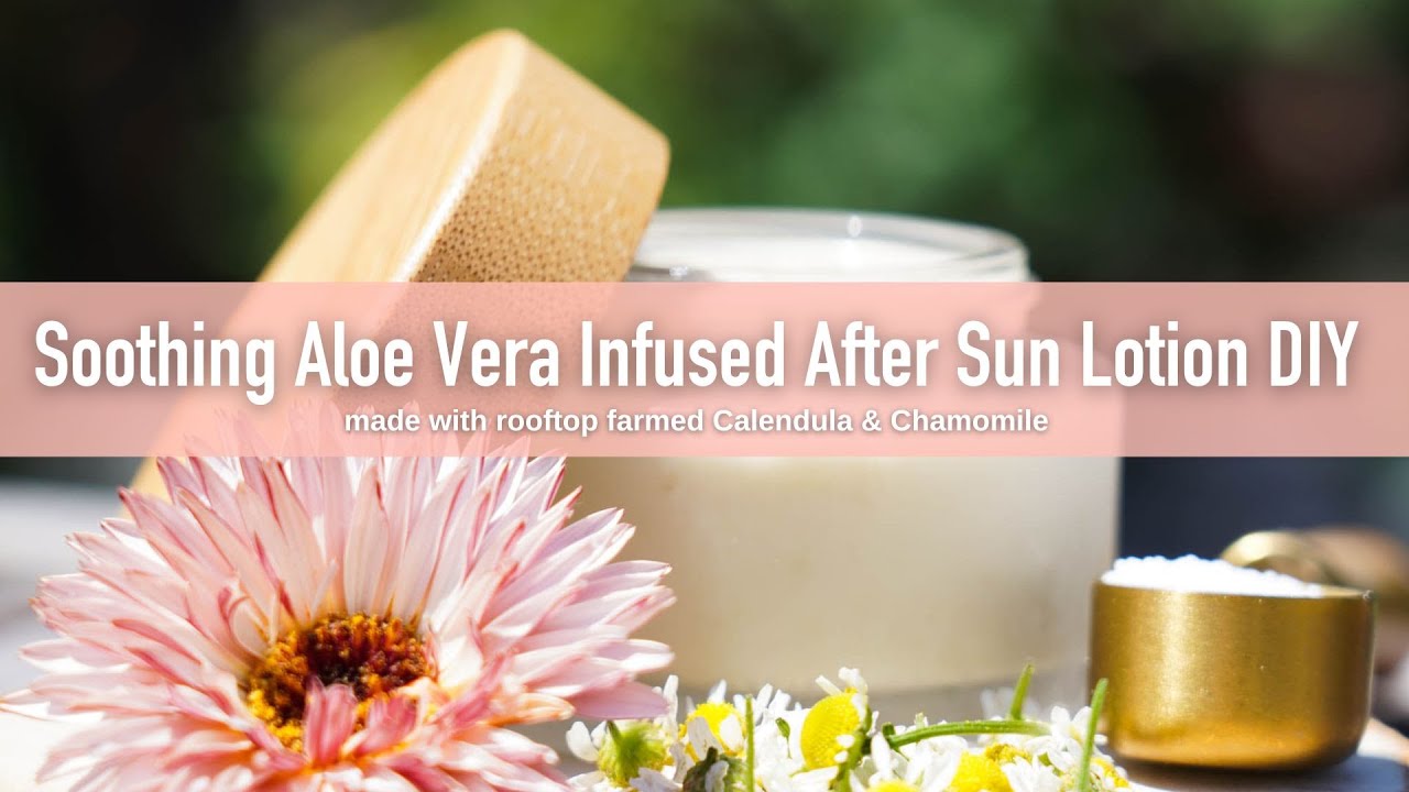 Soothing aloe Vera Infused After Sun Lotion DIY YouTube
