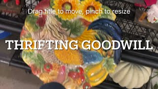 THRIFTING / GOODWILL / GEMS /  #shopping