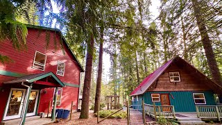 Quiet Rhododendron Cabin w/ HUGE shop 🛠️ nestled along the Zigzag River💧