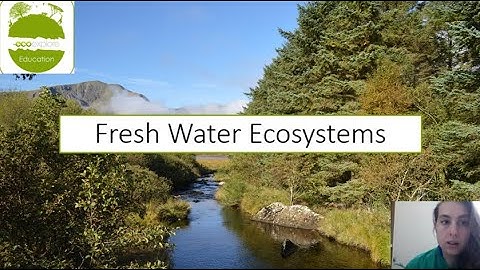 Freshwater ecosystems