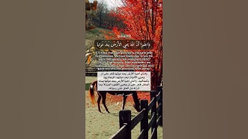 سبحان الله استمعوا 🥺👌🏻سورة الحديد شريف مصطفى حالات واتس